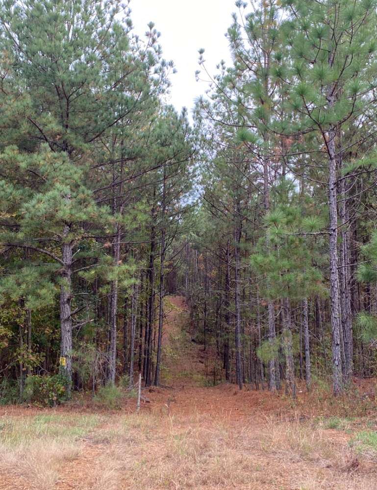 21.3 Acres of Land for Sale in Chelsea, Alabama