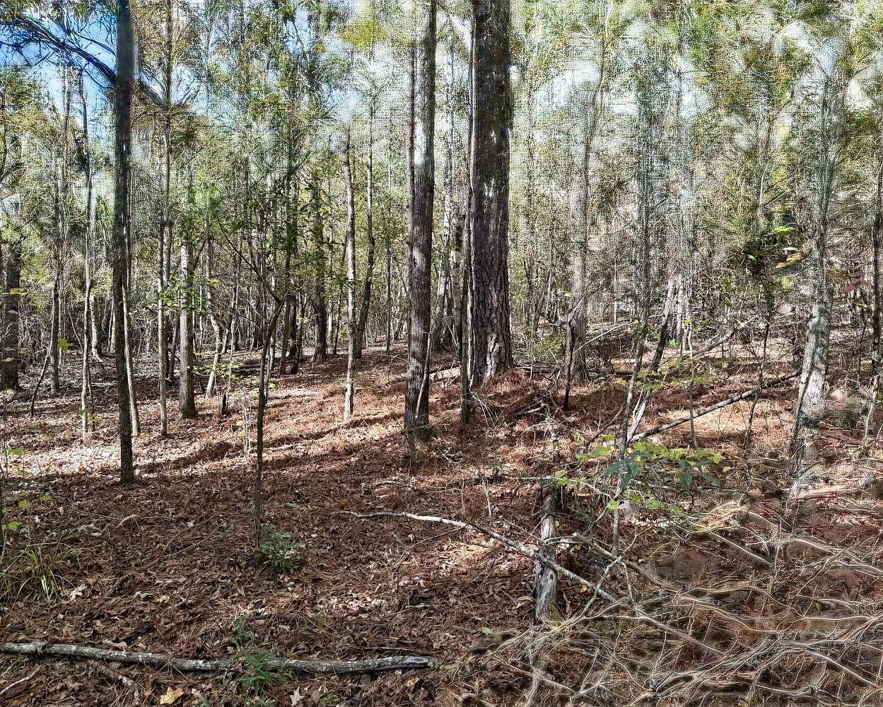21 Acres of Recreational & Residential Land for Sale in Northport, Alabama