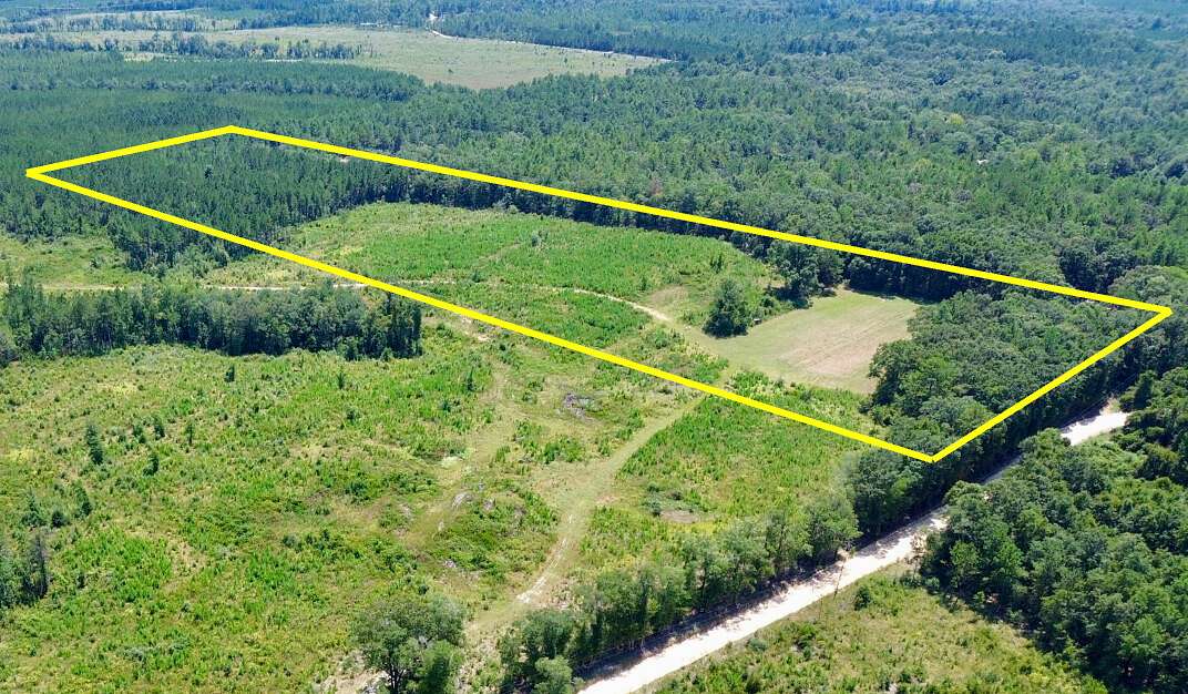 19 Acres of Land for Sale in McIntosh, Alabama