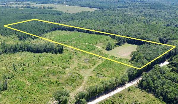 19 Acres of Land for Sale in McIntosh, Alabama