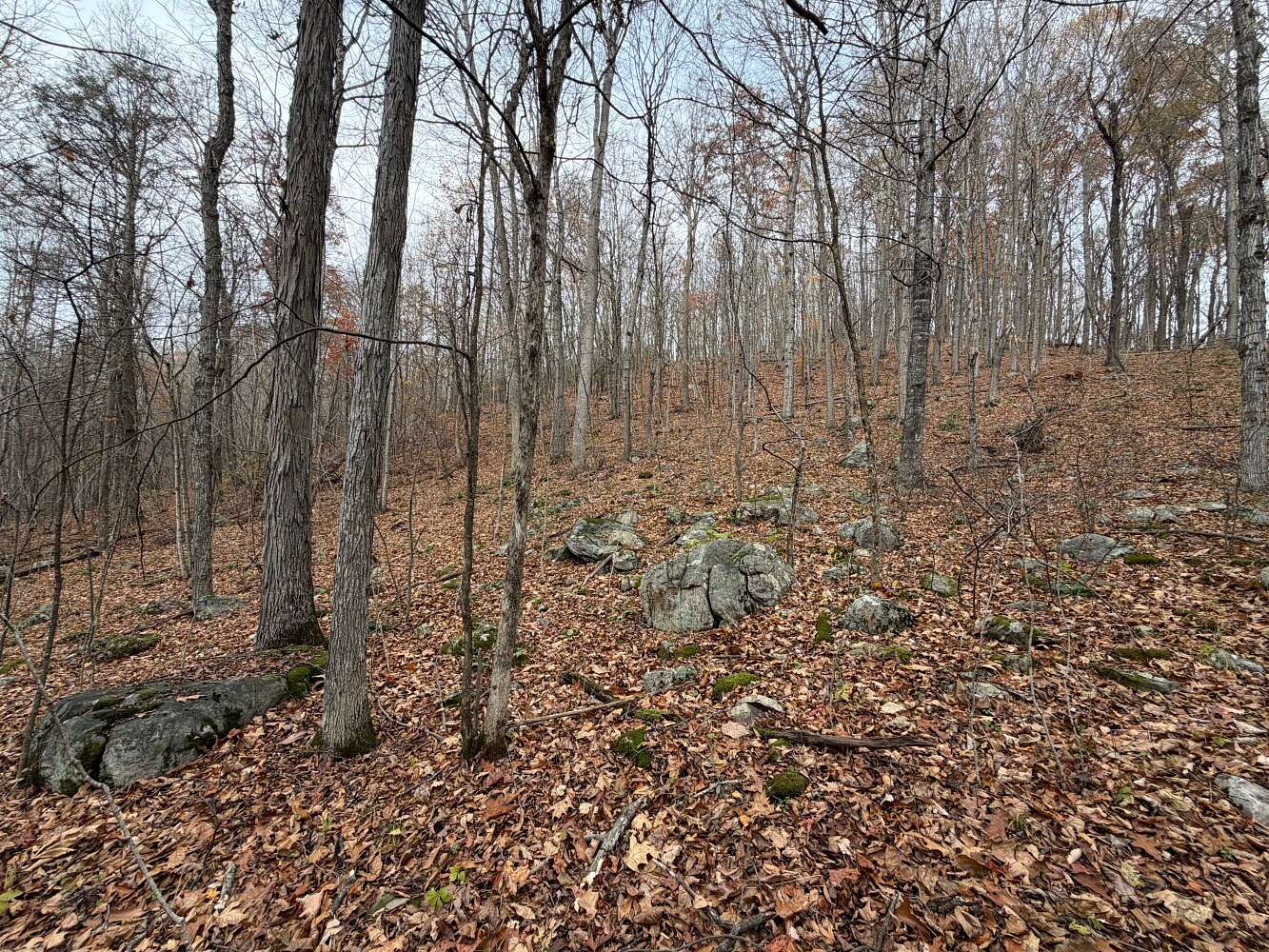 30.4 Acres of Recreational & Residential Land for Sale in Healing Springs, Virginia