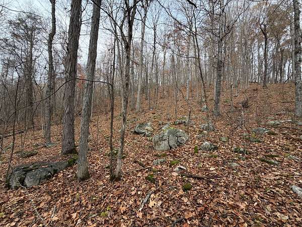 30.4 Acres of Recreational & Residential Land for Sale in Healing Springs, Virginia