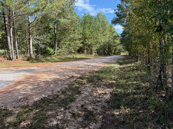 1 Acre of Residential Land for Sale in Greensboro, Georgia