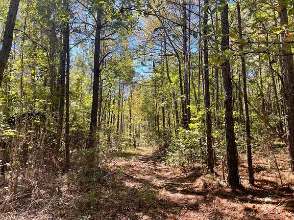 43 Acres of Recreational Land for Sale in Fayette, Alabama
