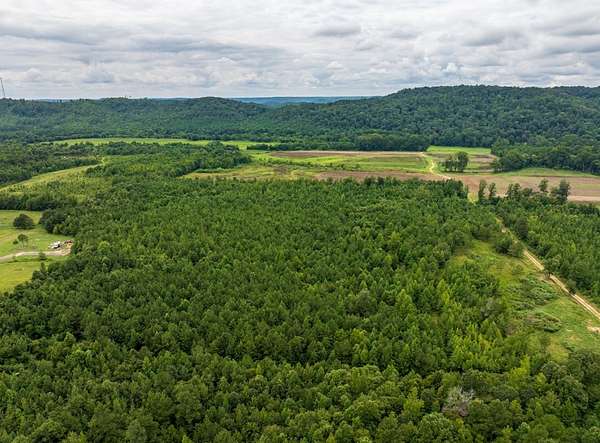7.8 Acres of Residential Land for Sale in Hayden, Alabama