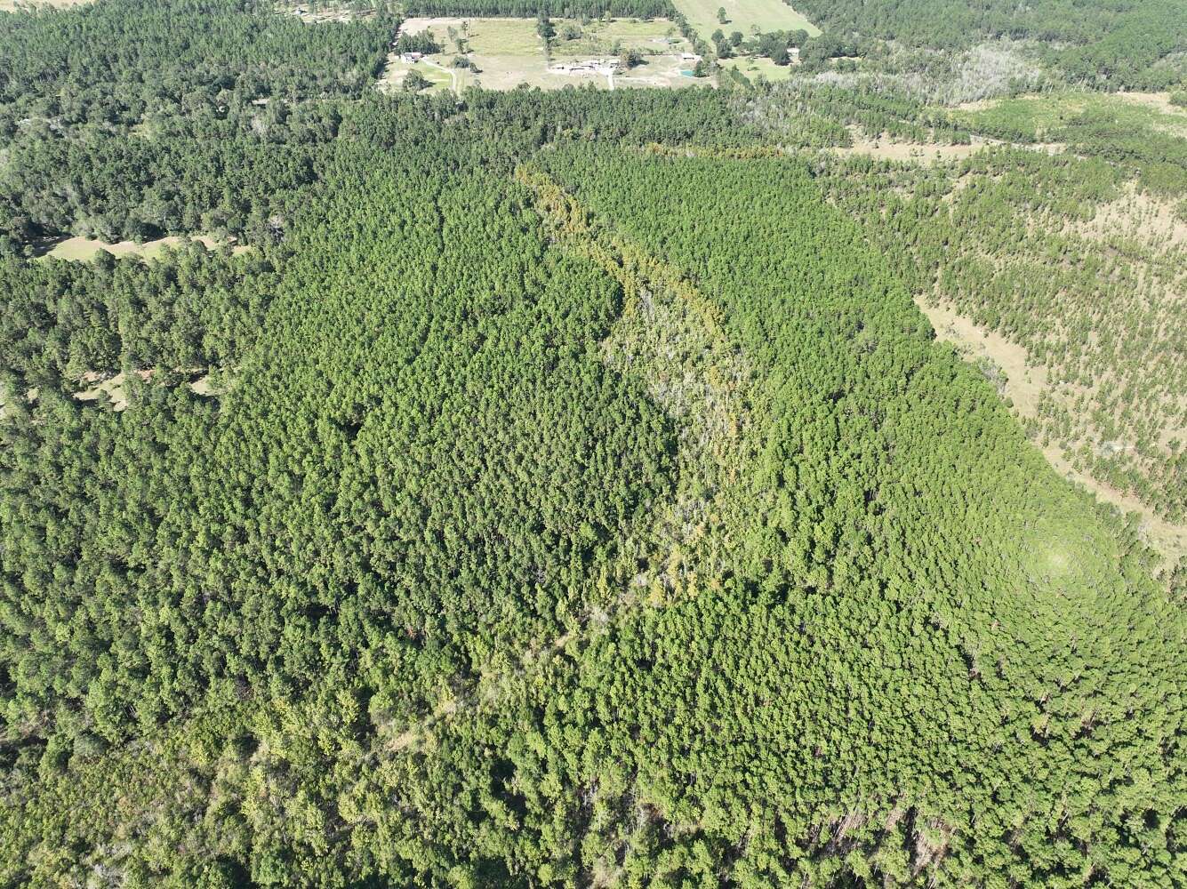 160 Acres of Recreational & Residential Land for Sale in Ragley, Louisiana
