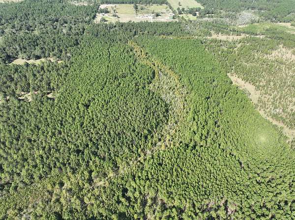 160 Acres of Recreational & Residential Land for Sale in Ragley, Louisiana