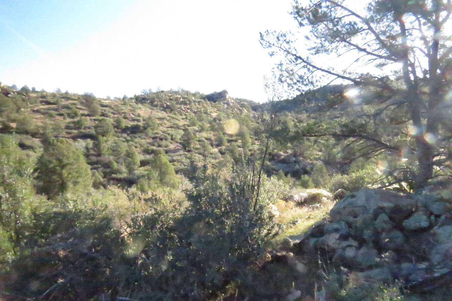 17.6 Acres of Land for Sale in Kirkland, Arizona