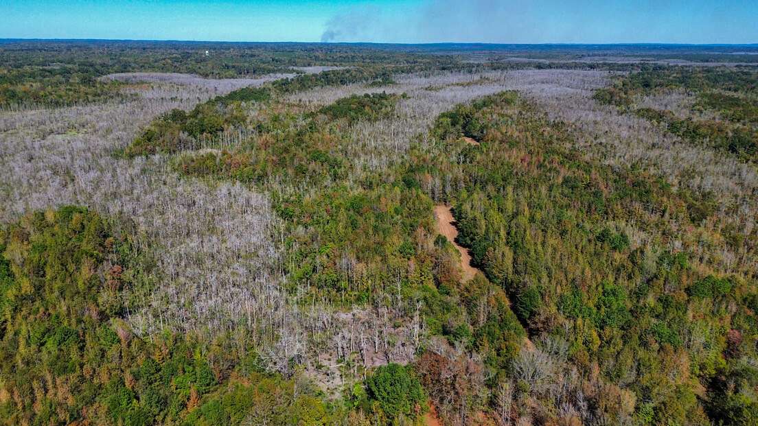 170 Acres of Recreational Land for Sale in Selma, Alabama