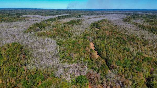 170 Acres of Recreational Land for Sale in Selma, Alabama