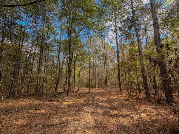50 Acres of Recreational & Residential Land for Sale in Maplesville, Alabama