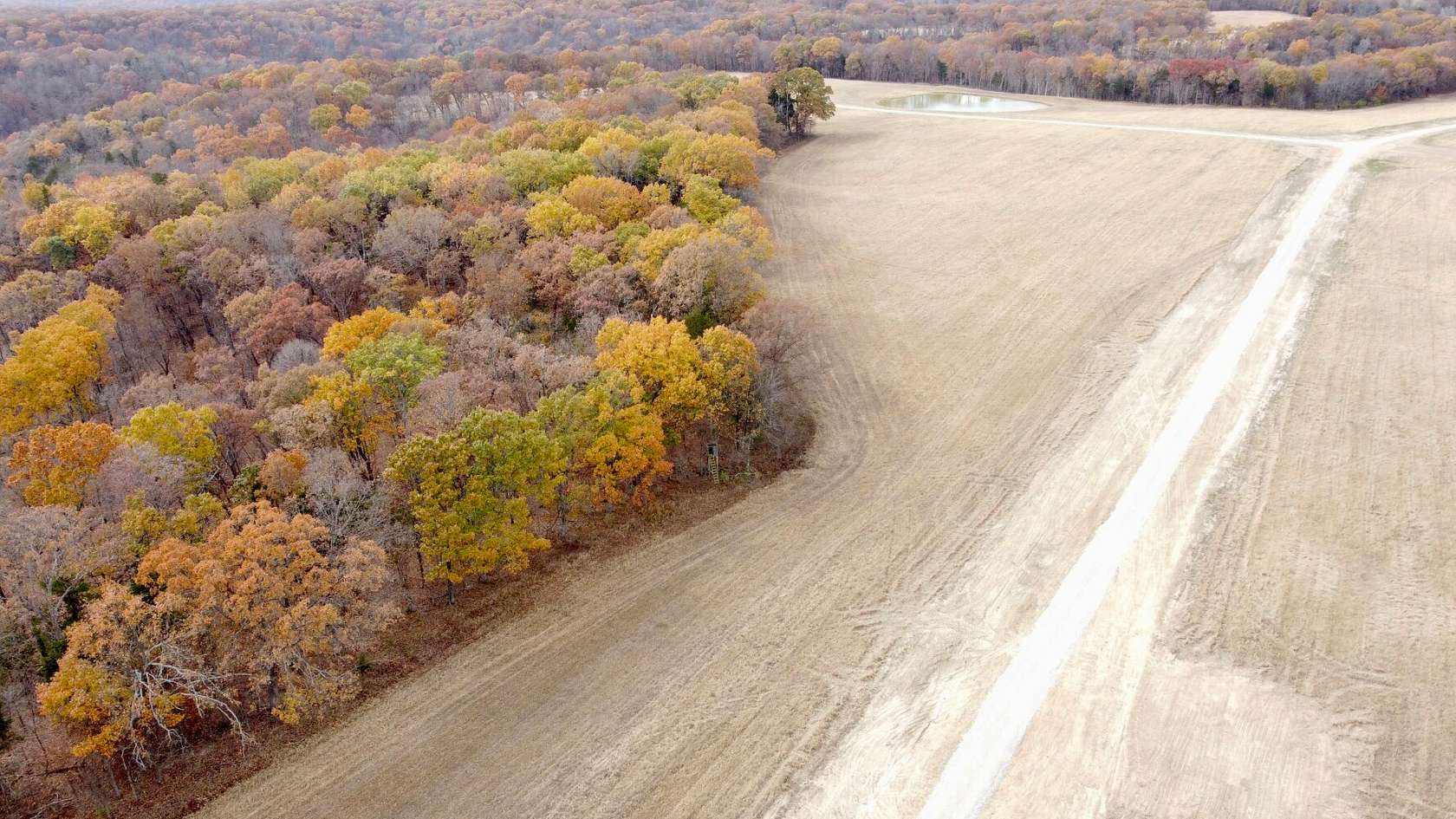 31.9 Acres of Land for Sale in Marthasville, Missouri