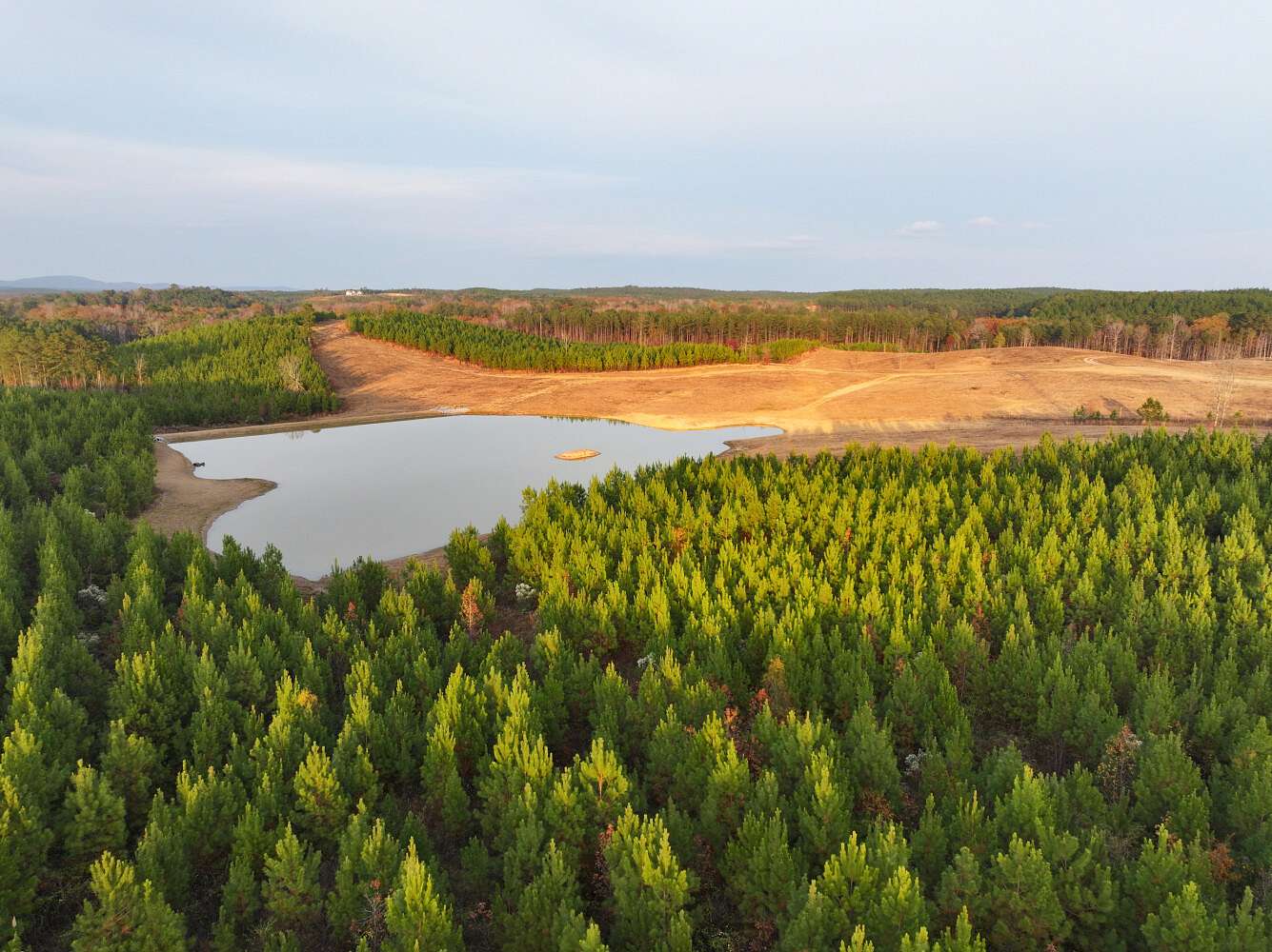 160 Acres of Agricultural & Residential Land for Sale in Columbiana, Alabama