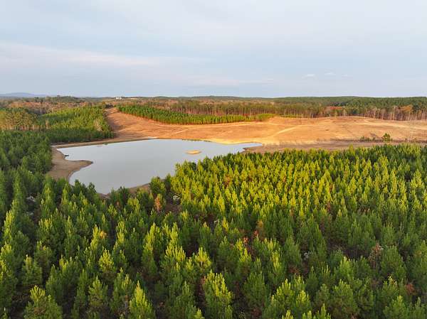 160 Acres of Agricultural & Residential Land for Sale in Columbiana, Alabama