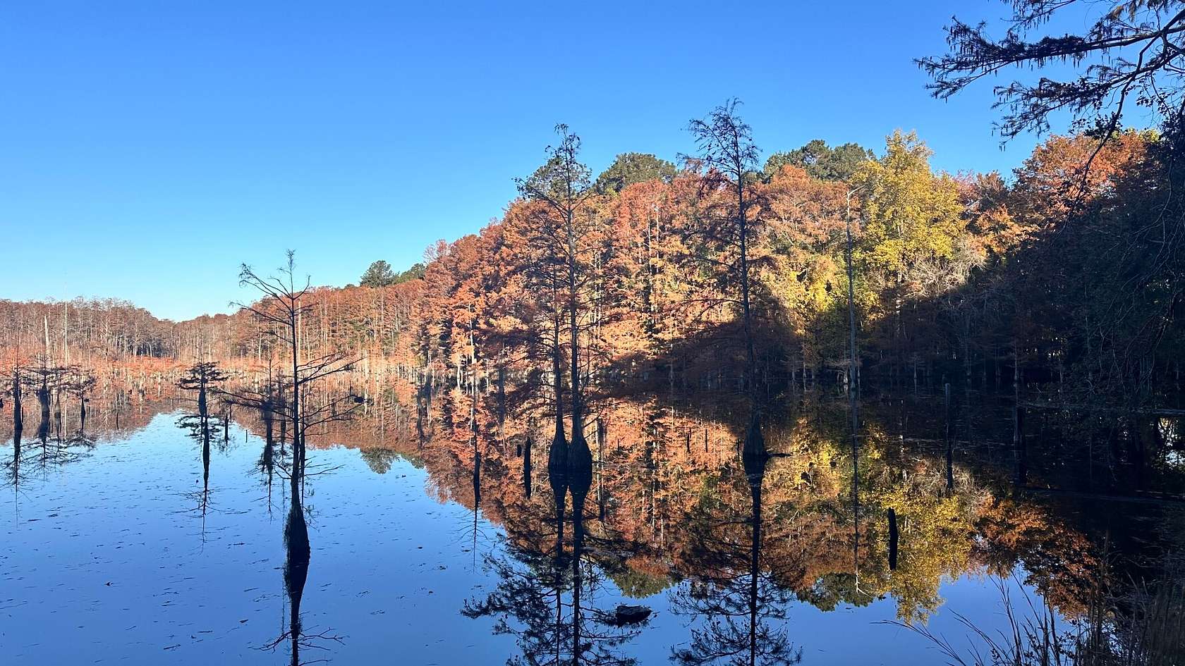 532 Acres of Land for Sale in Hartsville, South Carolina