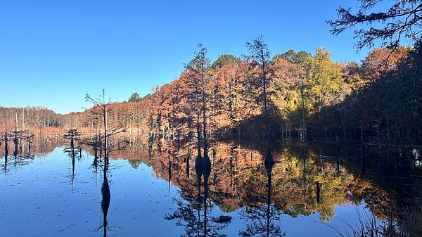 532 Acres of Land for Sale in Hartsville, South Carolina