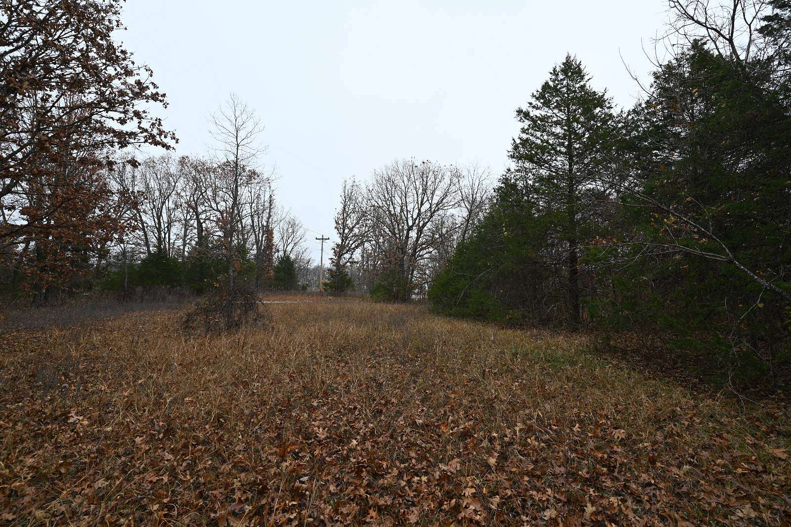 27 Acres of Land for Sale in Lebanon, Missouri