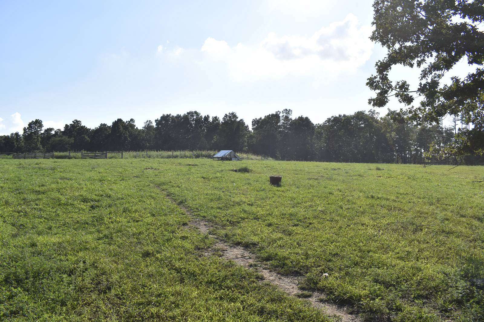 80.8 Acres of Recreational Land for Sale in Licking, Missouri