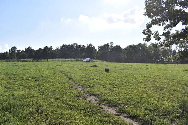 80.8 Acres of Recreational Land for Sale in Licking, Missouri