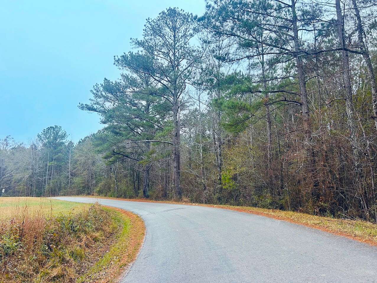 13.8 Acres of Recreational Land for Sale in Munford, Alabama