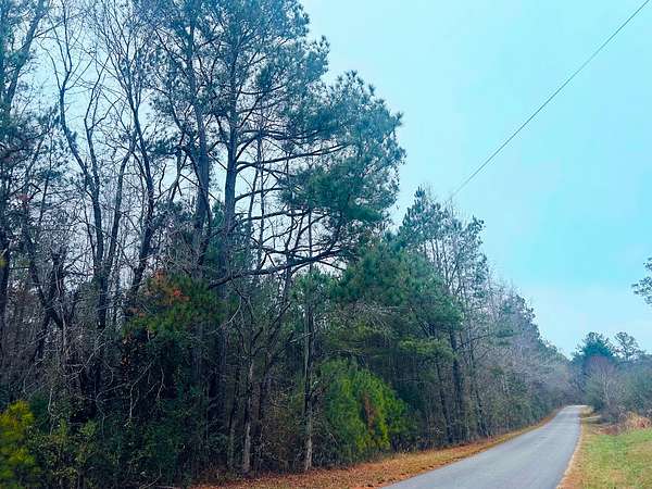 14 Acres of Recreational Land for Sale in Munford, Alabama
