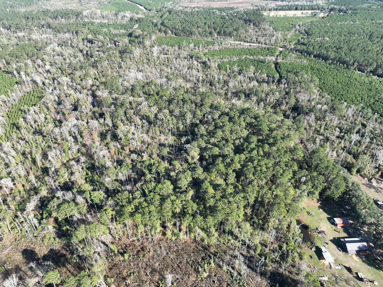 39.8 Acres of Recreational Land for Sale in Hineston, Louisiana