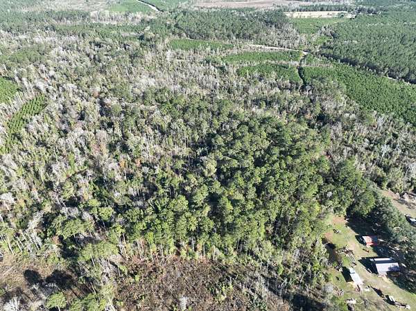 39.8 Acres of Recreational Land for Sale in Hineston, Louisiana