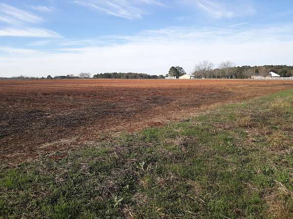 20 Acres of Mixed-Use Land for Sale in Daleville, Alabama