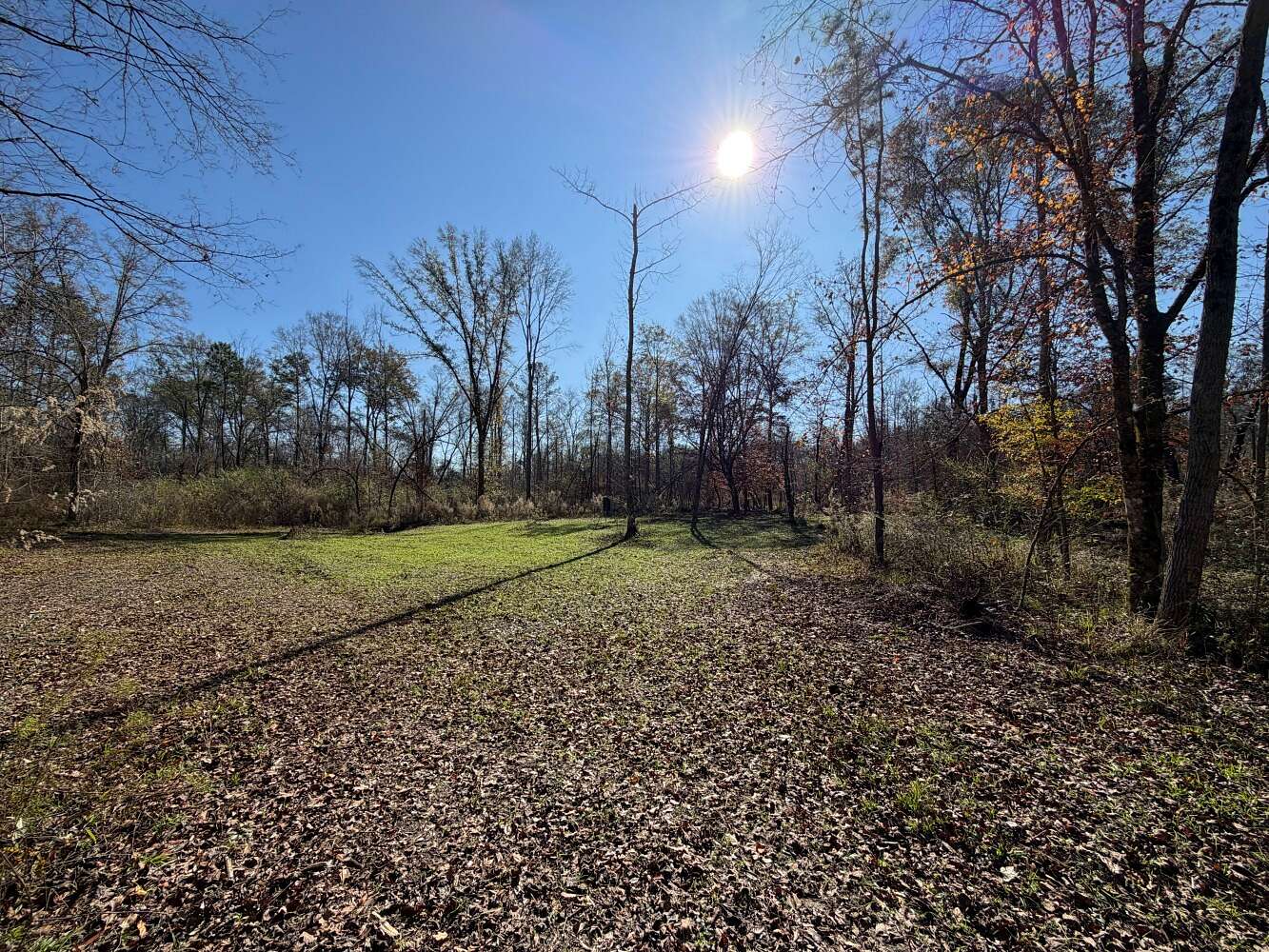235 Acres of Recreational Land for Sale in Luverne, Alabama
