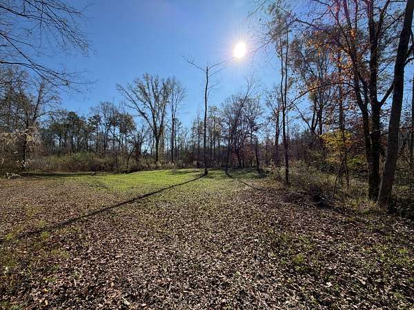 235 Acres of Recreational Land for Sale in Luverne, Alabama