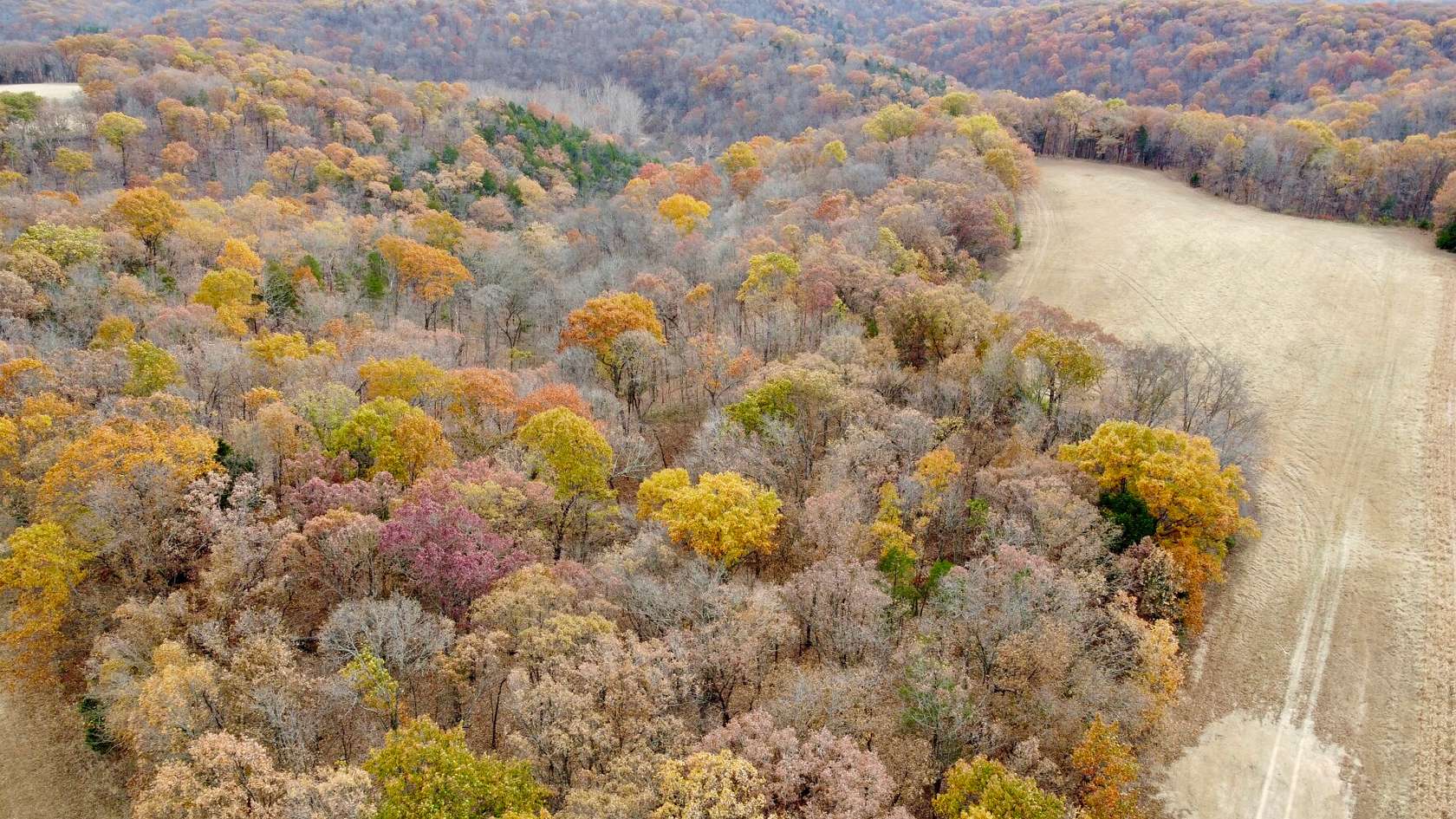40.3 Acres of Land for Sale in Marthasville, Missouri