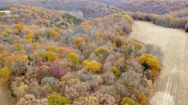 40.3 Acres of Land for Sale in Marthasville, Missouri