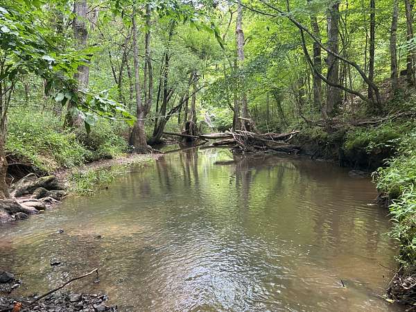 65 Acres of Recreational & Residential Land for Sale in Wilsonville, Alabama