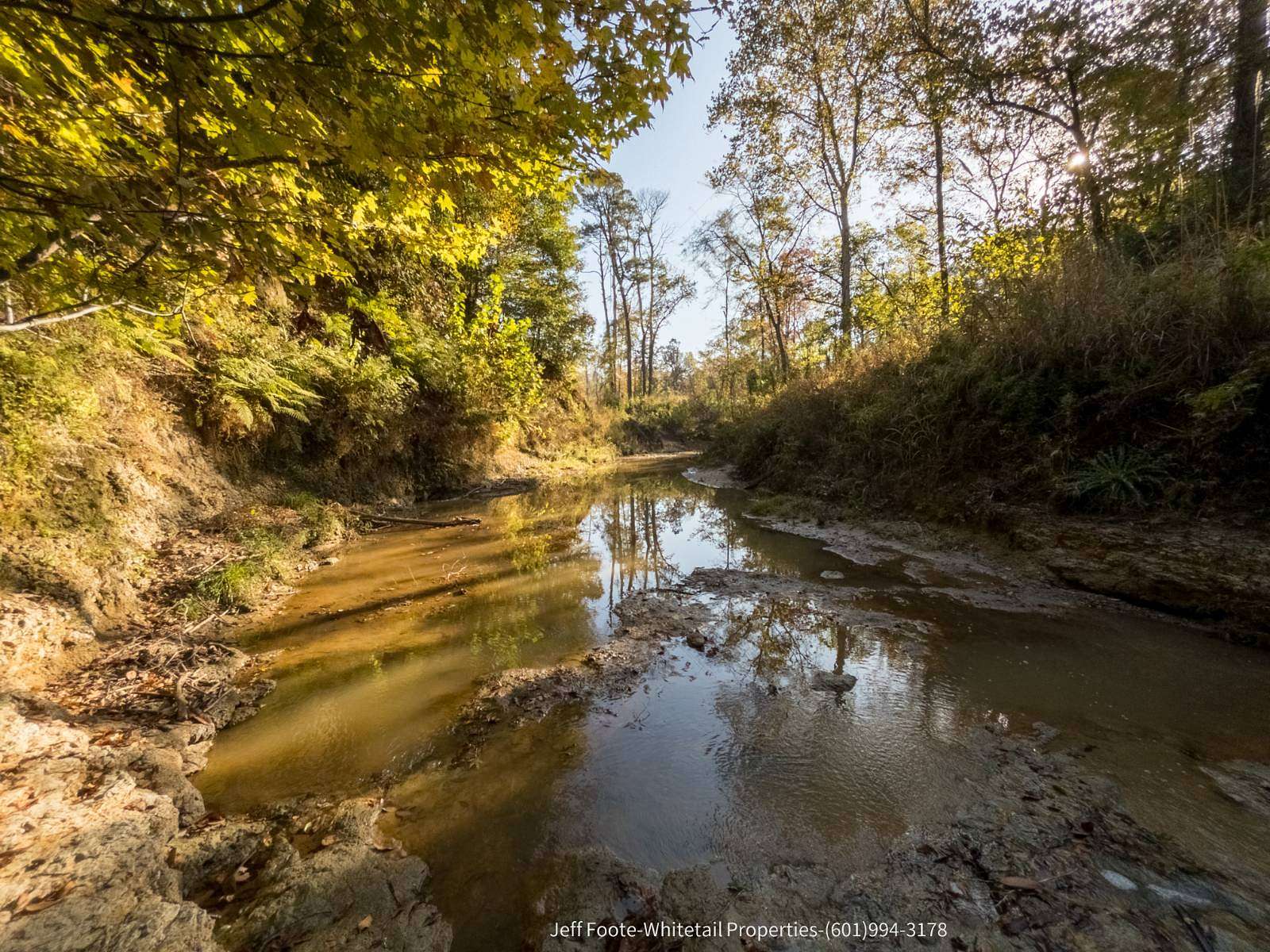 189 Acres of Recreational Land for Sale in Port Gibson, Mississippi