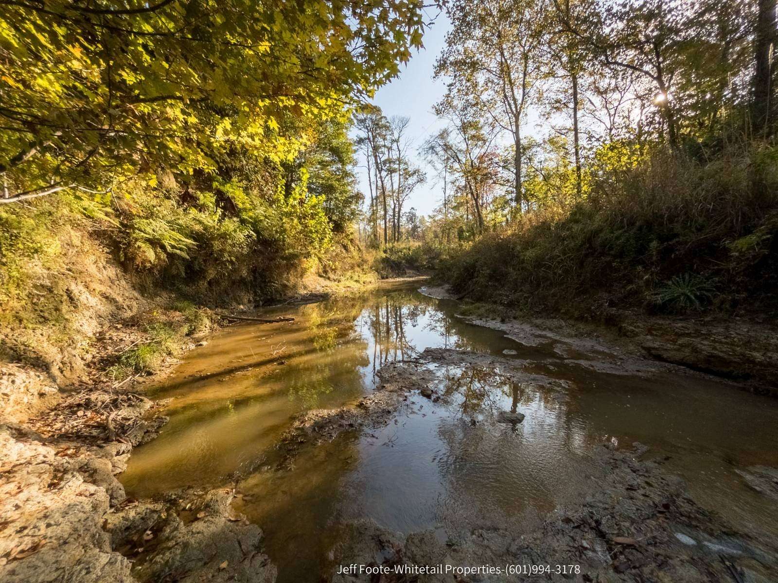 189 Acres of Recreational Land for Sale in Port Gibson, Mississippi