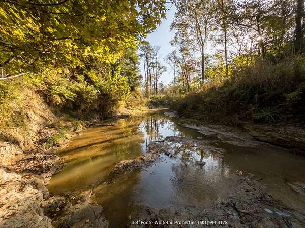 189 Acres of Recreational Land for Sale in Port Gibson, Mississippi