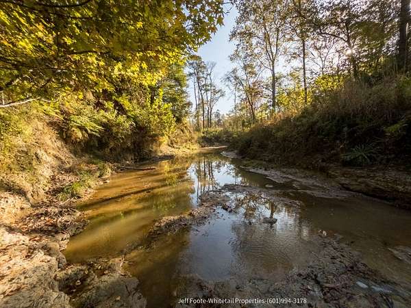 189 Acres of Recreational Land for Sale in Port Gibson, Mississippi