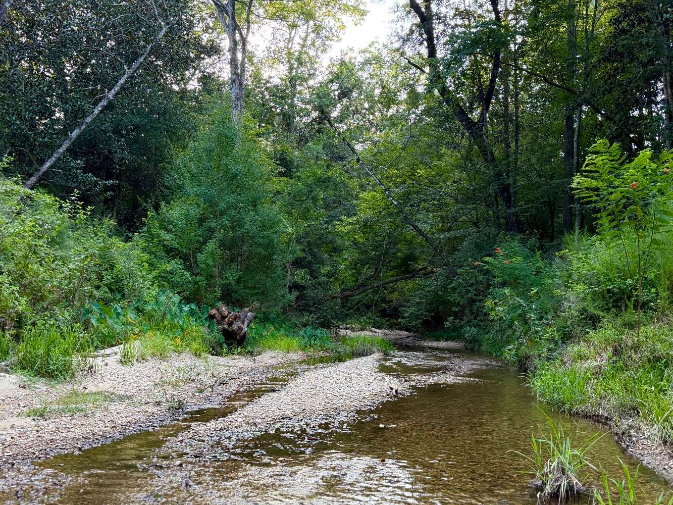 266 Acres of Recreational & Residential Land for Sale in Brookhaven, Mississippi