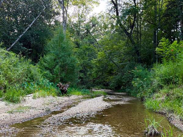 266 Acres of Recreational & Residential Land for Sale in Brookhaven, Mississippi
