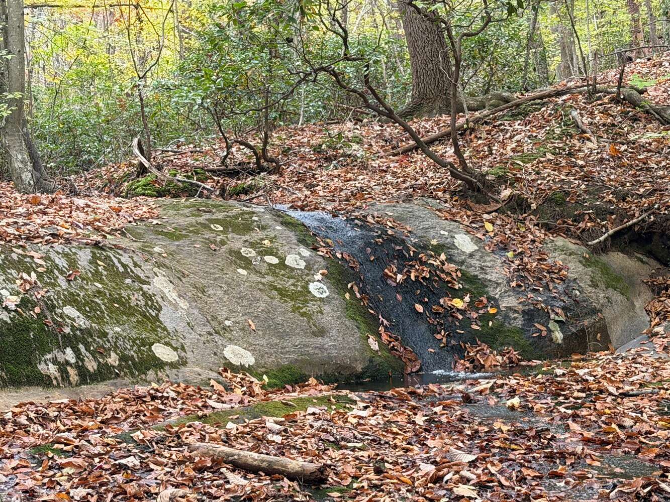 97.1 Acres of Recreational & Residential Land for Sale in Shipman, Virginia