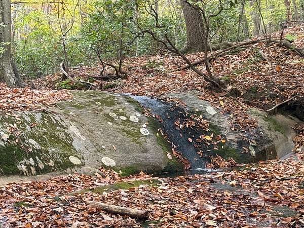 97.1 Acres of Recreational & Residential Land for Sale in Shipman, Virginia