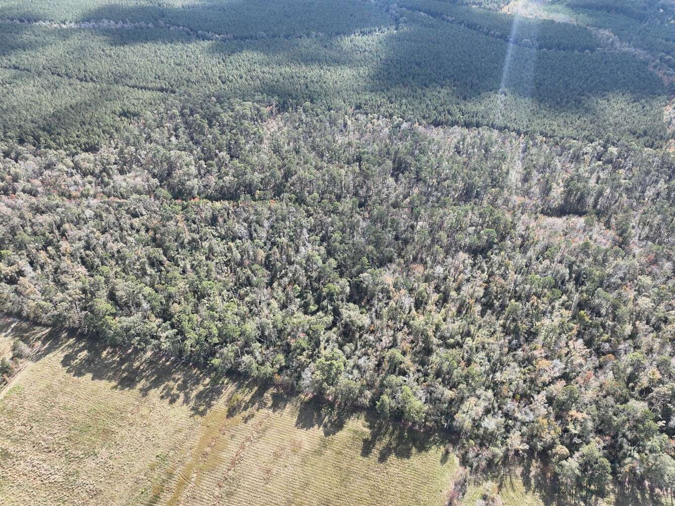 80 Acres of Recreational & Residential Land for Sale in Kinder, Louisiana