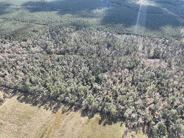 80 Acres of Recreational & Residential Land for Sale in Kinder, Louisiana