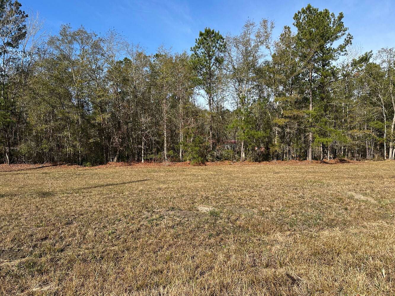 1 Acre of Residential Land for Sale in Bonneau, South Carolina