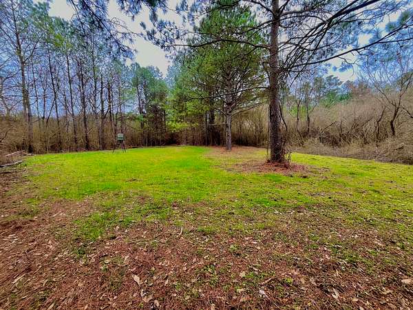 86.2 Acres of Recreational & Residential Land for Sale in Vincent, Alabama