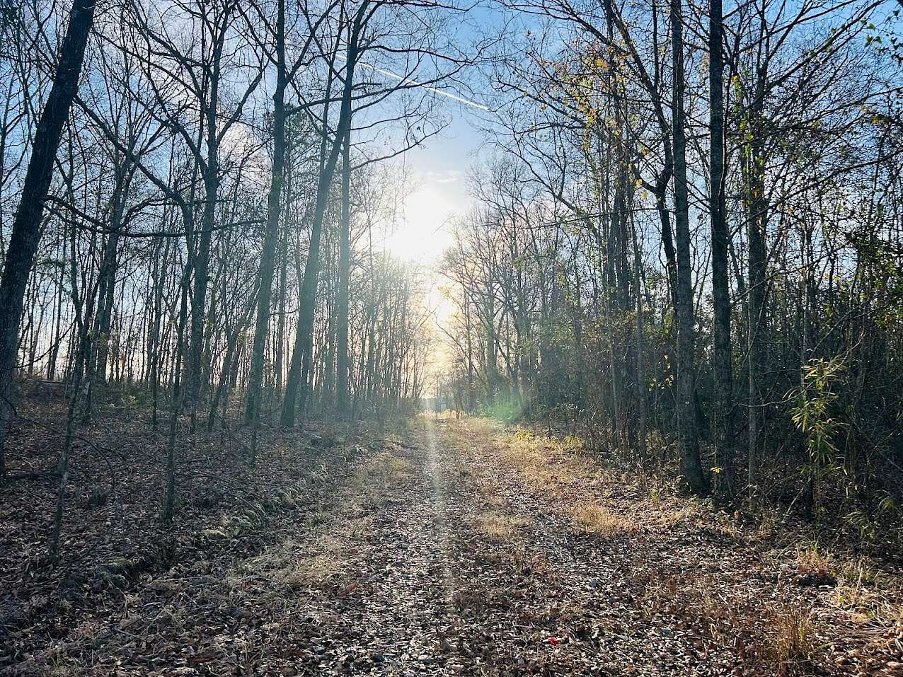 173 Acres of Recreational Land for Sale in Butler, Georgia