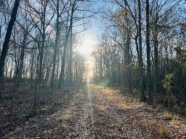 173 Acres of Recreational Land for Sale in Butler, Georgia