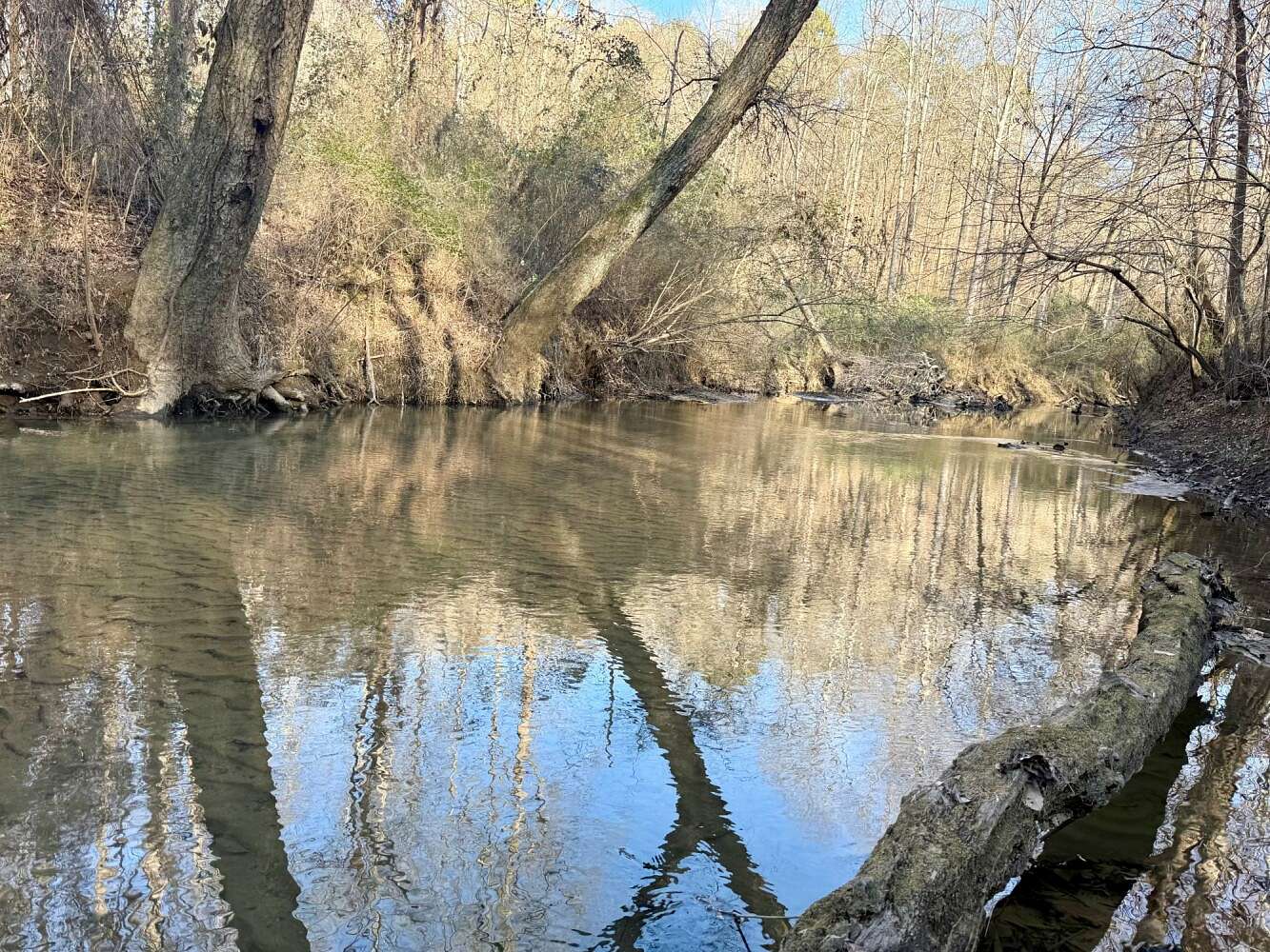 38 Acres of Recreational Land for Sale in Bessemer, Alabama
