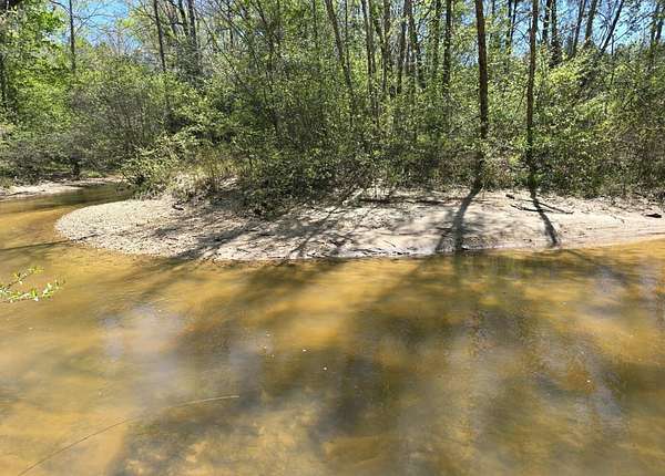 17 Acres of Recreational & Residential Land for Sale in Maplesville, Alabama