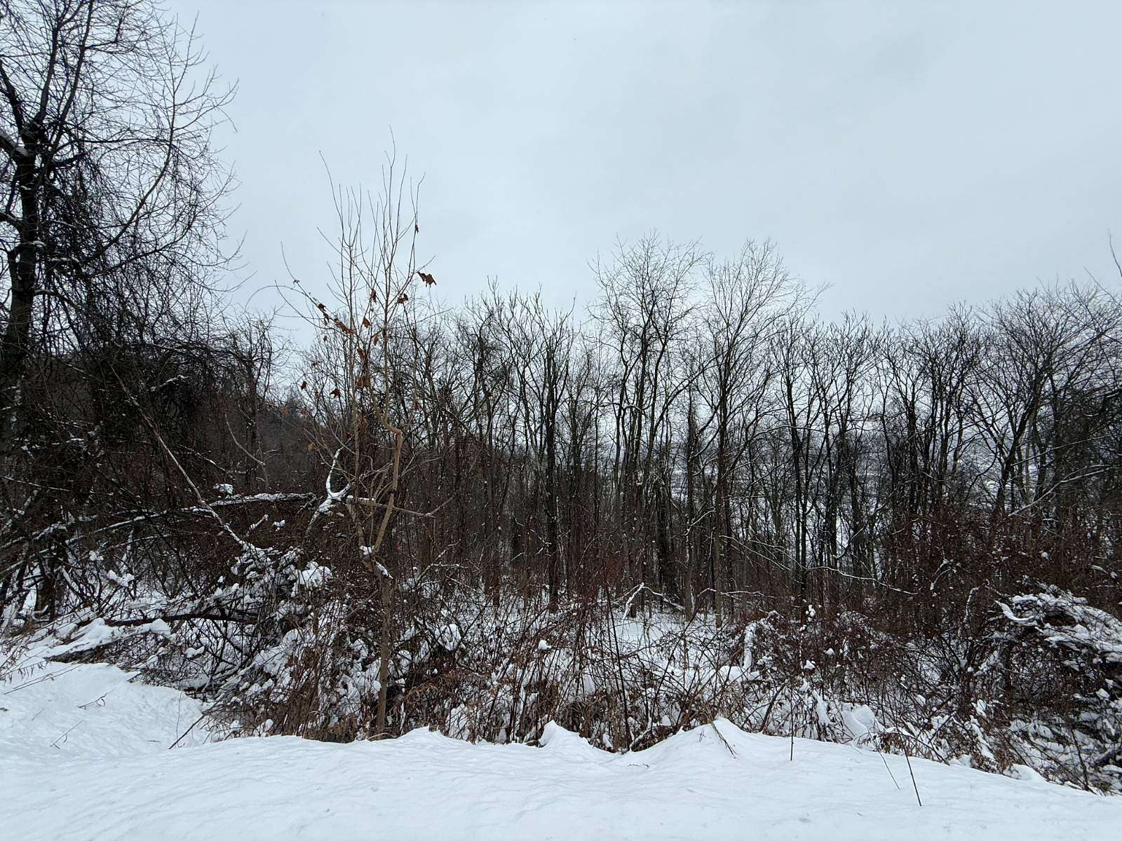 52.8 Acres of Recreational & Residential Land for Sale in Aliquippa, Pennsylvania